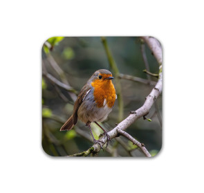 To buy a print or any of the below please click on the images